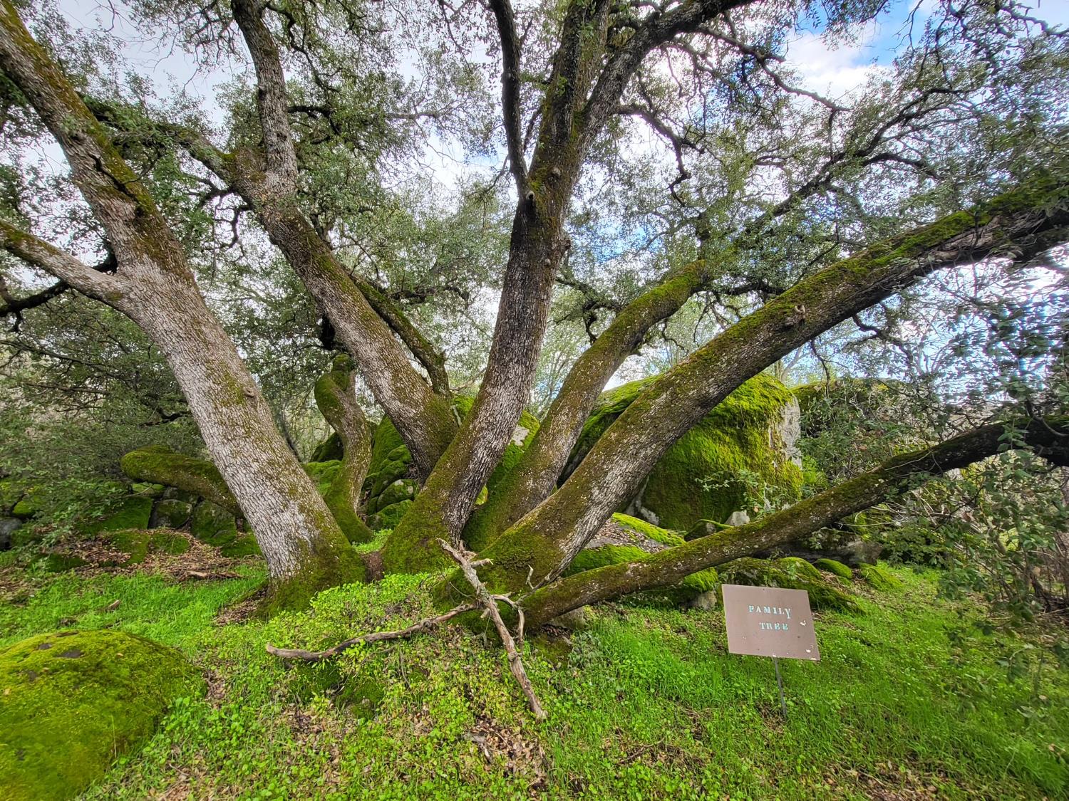 44001 Dunlap Road Miramonte, CA 93641 - Photo 34 of 91
