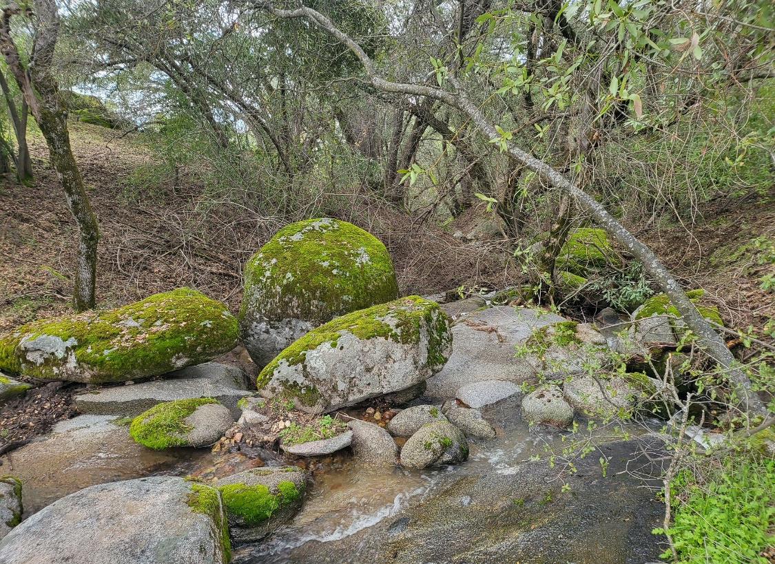 44001 Dunlap Road Miramonte, CA 93641 - Photo 63 of 91