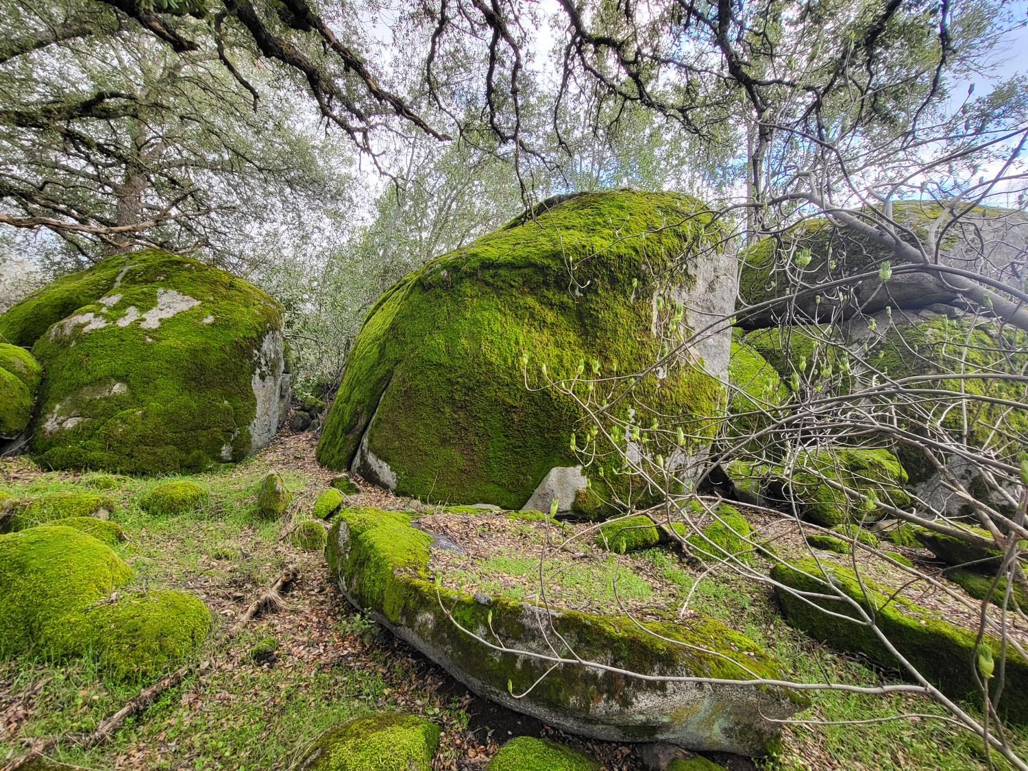 44001 Dunlap Road Miramonte, CA 93641 - Photo 64 of 91