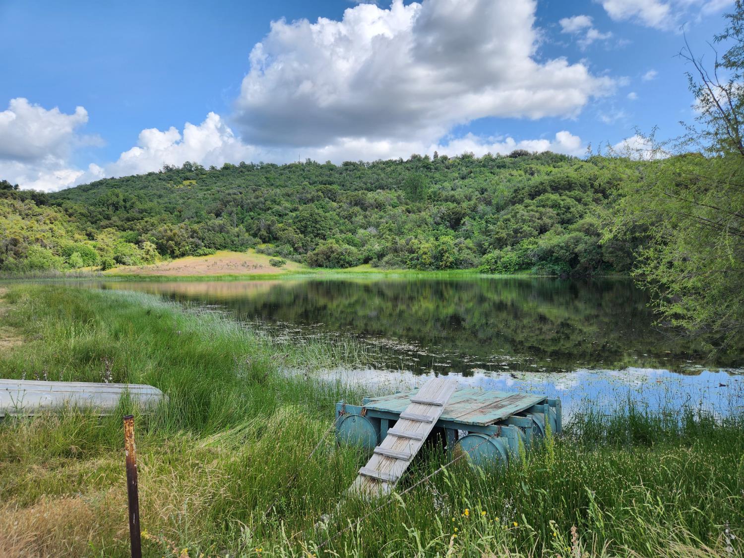 44001 Dunlap Road Miramonte, CA 93641 - Photo 65 of 91