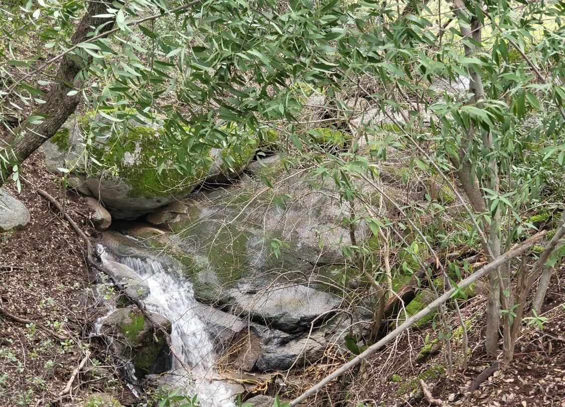 44001 Dunlap Road Miramonte, CA 93641 - Photo 85 of 91