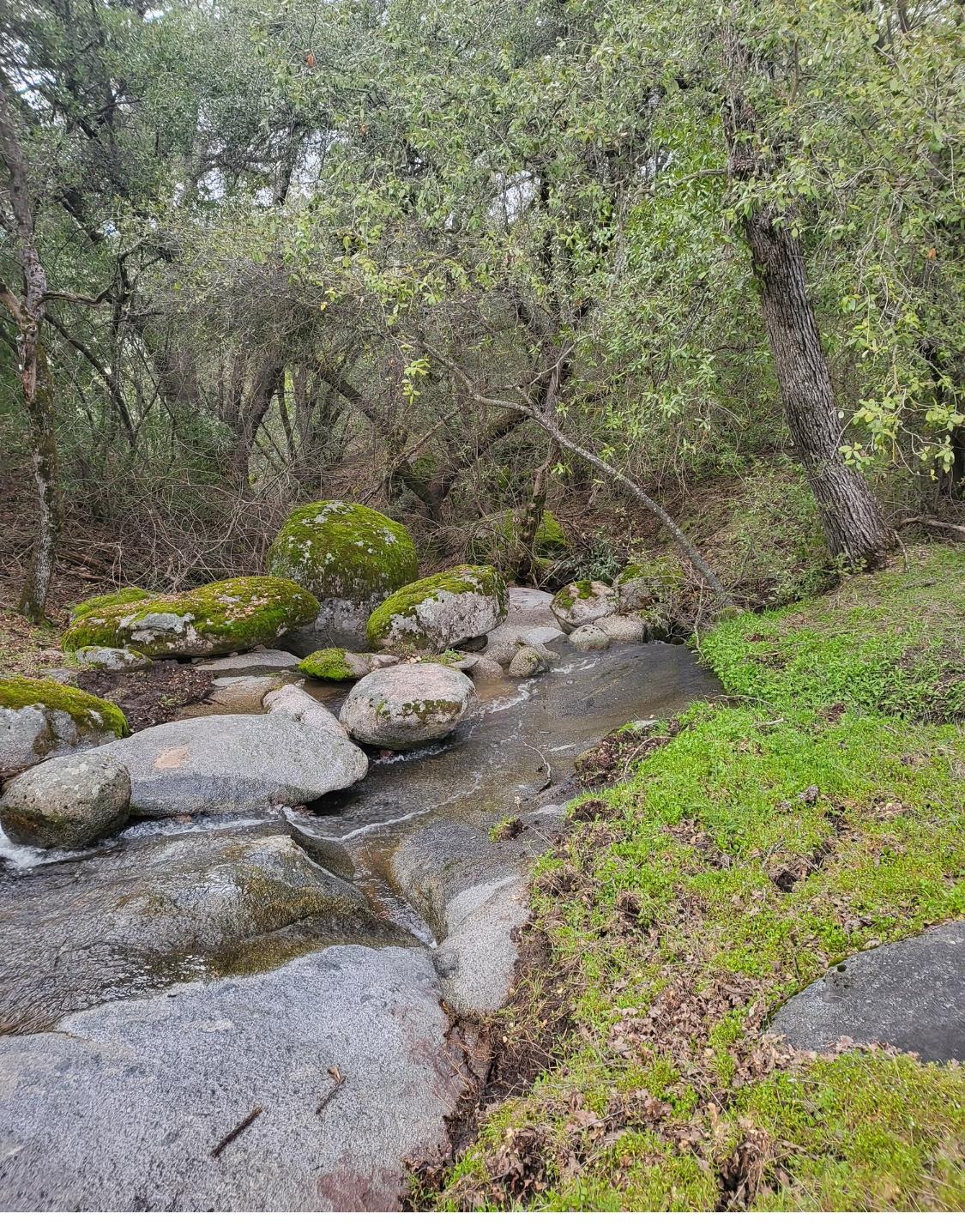 44001 Dunlap Road Miramonte, CA 93641 - Photo 86 of 91