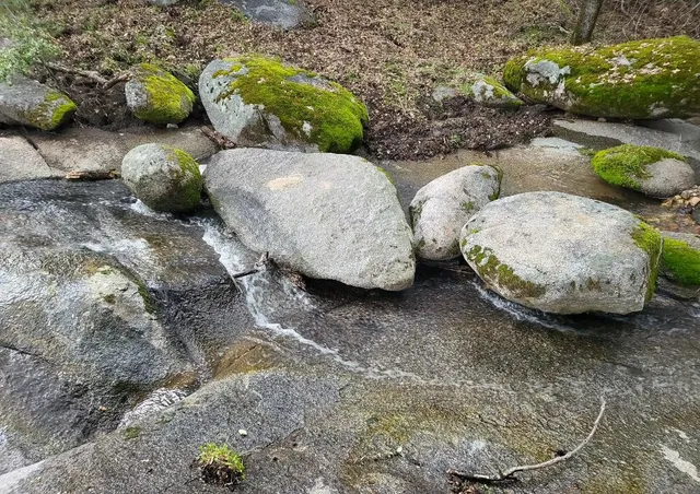 $930,000 | 44001 Dunlap Road, Miramonte, CA 93641