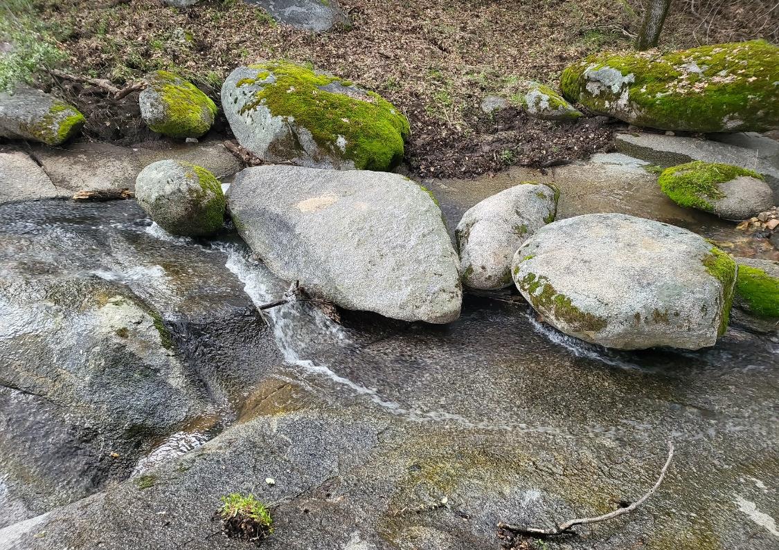 44001 Dunlap Road Miramonte, CA 93641 - Photo 87 of 91