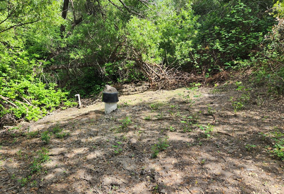 44001 Dunlap Road Miramonte, CA 93641 - Photo 89 of 91 a fire hydrant in the middle of a field