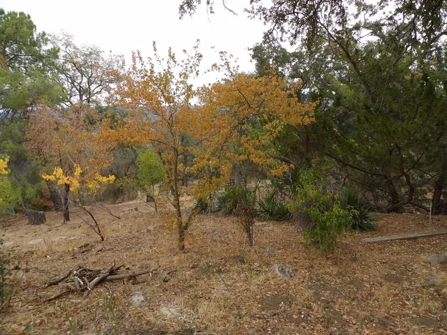 $930,000 | 44001 Dunlap Road, Miramonte, CA 93641