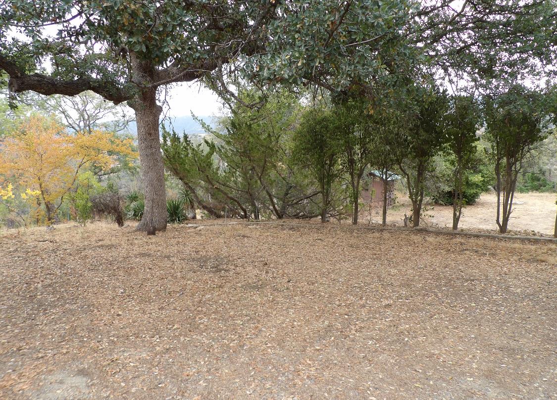 44001 Dunlap Road Miramonte, CA 93641 - Photo 9 of 91 a view of a forest filled with trees