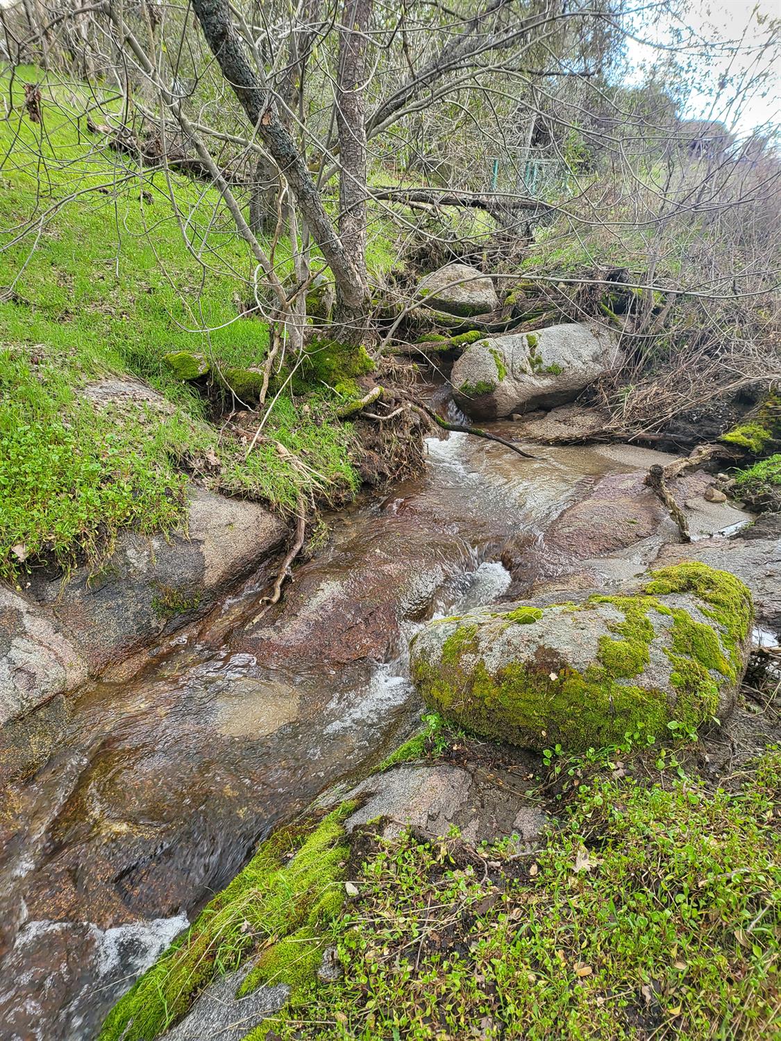 44001 Dunlap Road Miramonte, CA 93641 - Photo 91 of 91 a view of an outdoor space