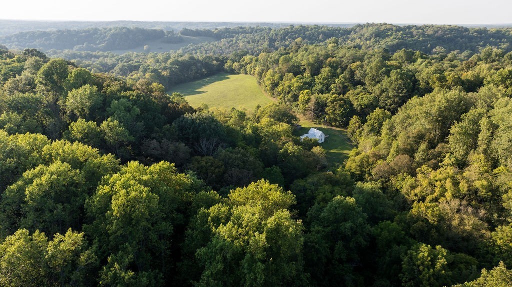 3685 Martin Ervin Road Santa Fe, TN 38482 - Photo 77 of 99 Gallery Image 77