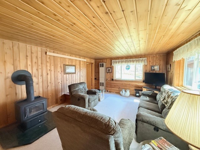 10590 Ole Lake Road Cable, WI 54821 - Photo 9 of 20