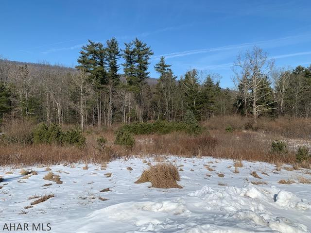 0 Lodge Road Crystal Spring, PA 15536 - Photo 3 of 54 Gallery Image 3