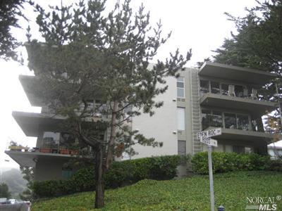 365 Eden Roc Drive Sausalito, CA 94965 - Photo 1 of 8 a backyard of a house with lots of green space