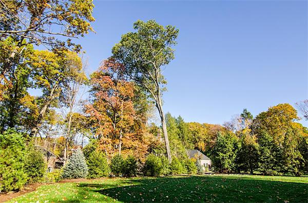42 Laurel Road Brookline, MA 02467 - Photo 24 of 24