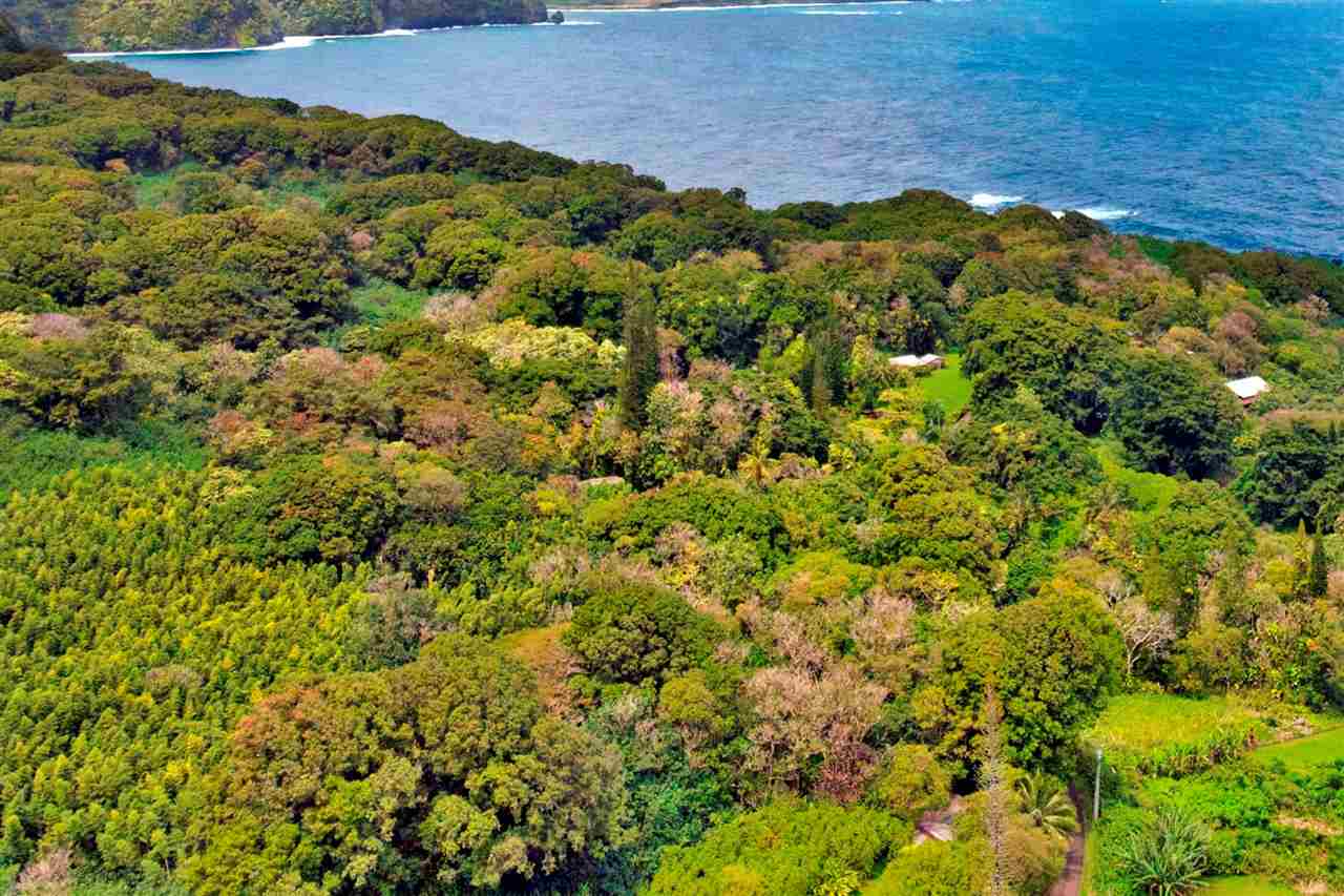 Nahiku Road, Unit Z Hana, HI 96713 - Photo 1 of 19 a view of a field