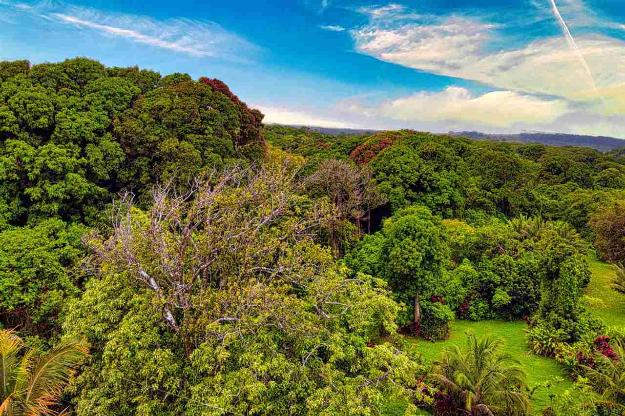 Nahiku Road, Unit Z Hana, HI 96713 - Photo 14 of 19 a view of a garden