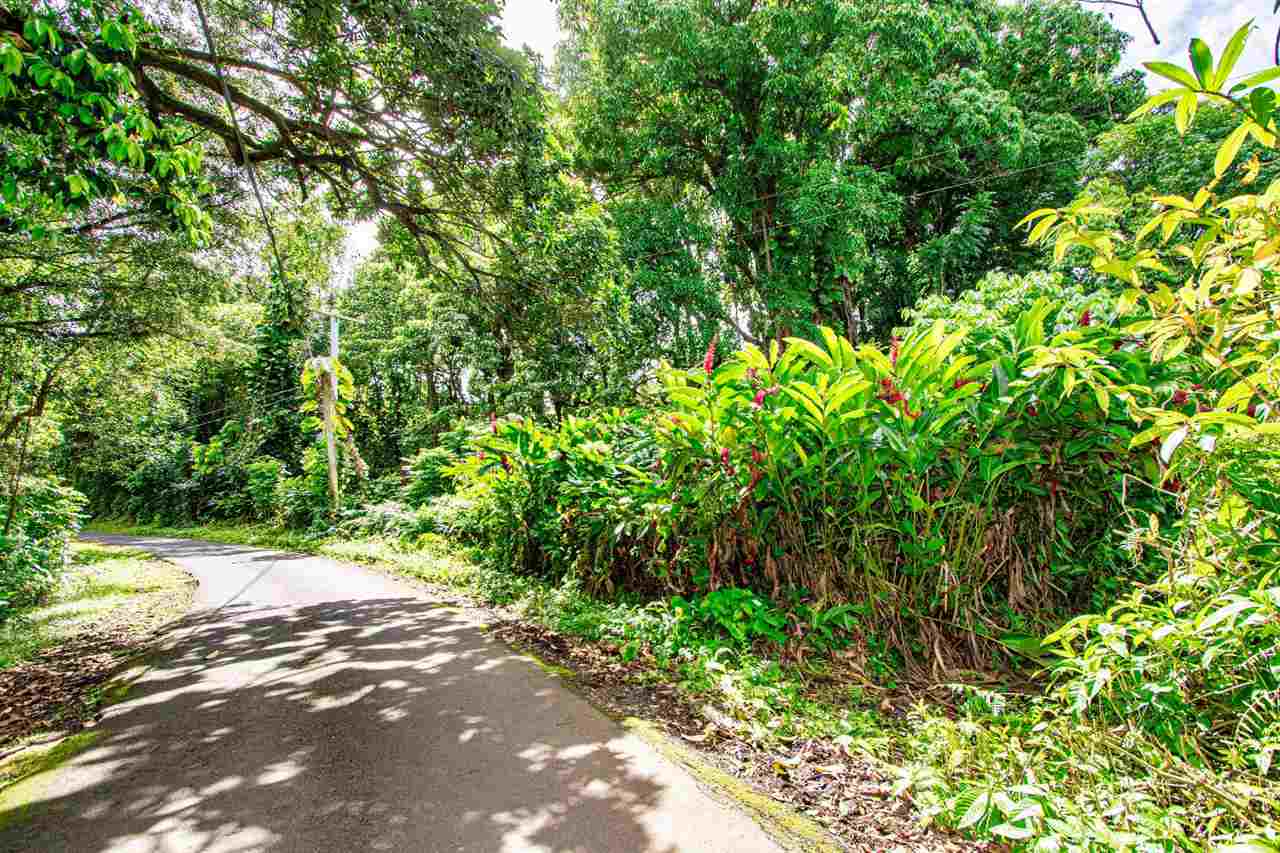 Nahiku Road, Unit Z Hana, HI 96713 - Photo 3 of 19 a backyard of a house with lots of swings and slides