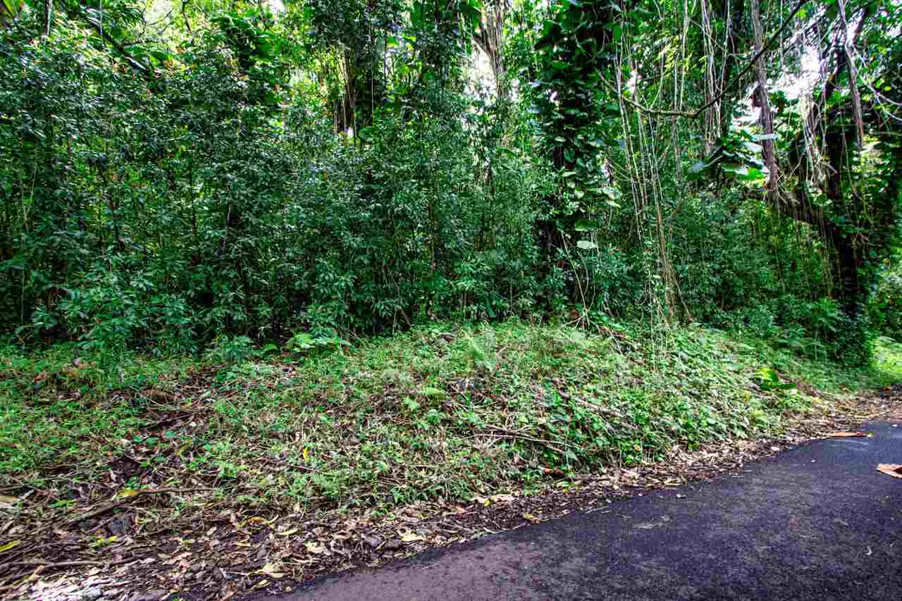 Nahiku Road, Unit Z Hana, HI 96713 - Photo 10 of 19 a view of a garden with plants