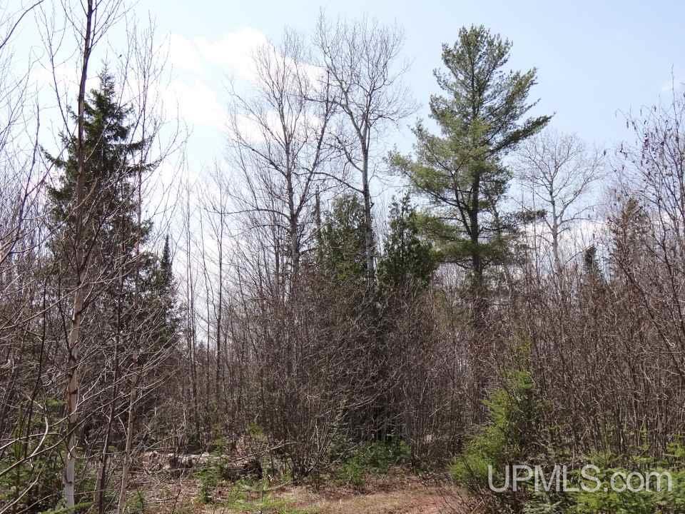 53502 Post Road Lake Linden, MI 49945 - Photo 17 of 36 Gallery Image 17