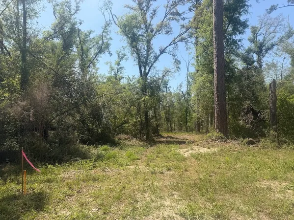$57,000 | 0 Southwest 77th Terrace, Jasper, FL 32052