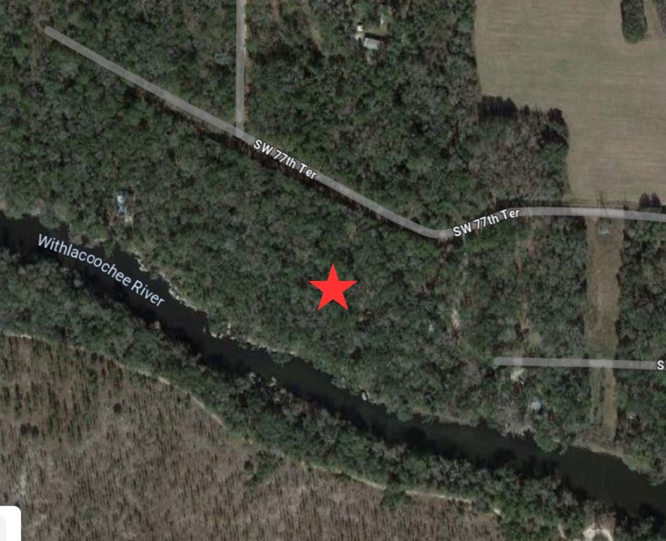 0 Southwest 77th Terrace Jasper, FL 32052 - Photo 3 of 4 a view of a forest from a balcony