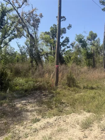 $57,000 | 0 Southwest 77th Terrace, Jasper, FL 32052