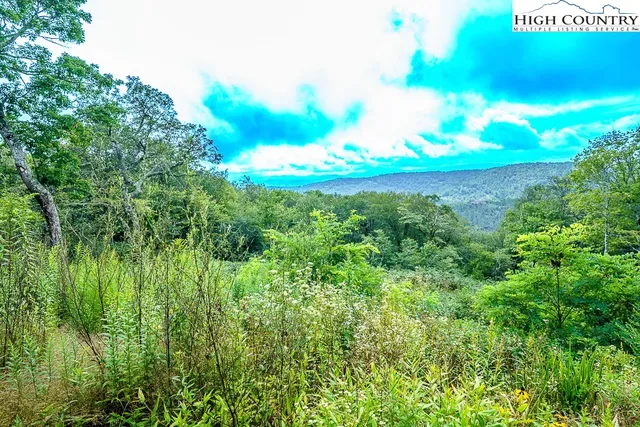 a view of a big yard with lots of green space