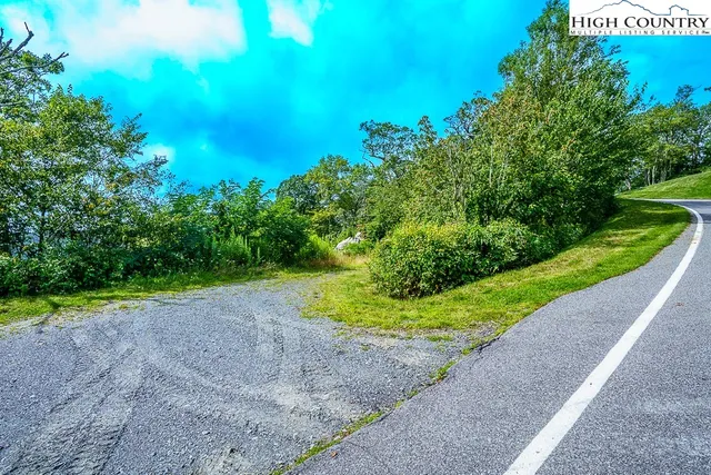 a view of a lush green space