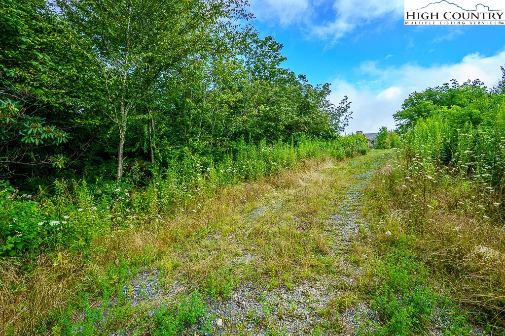 1902 Flattop Clfs Lane Linville, NC 28646 - Photo 3 of 10 a view of a lush green space