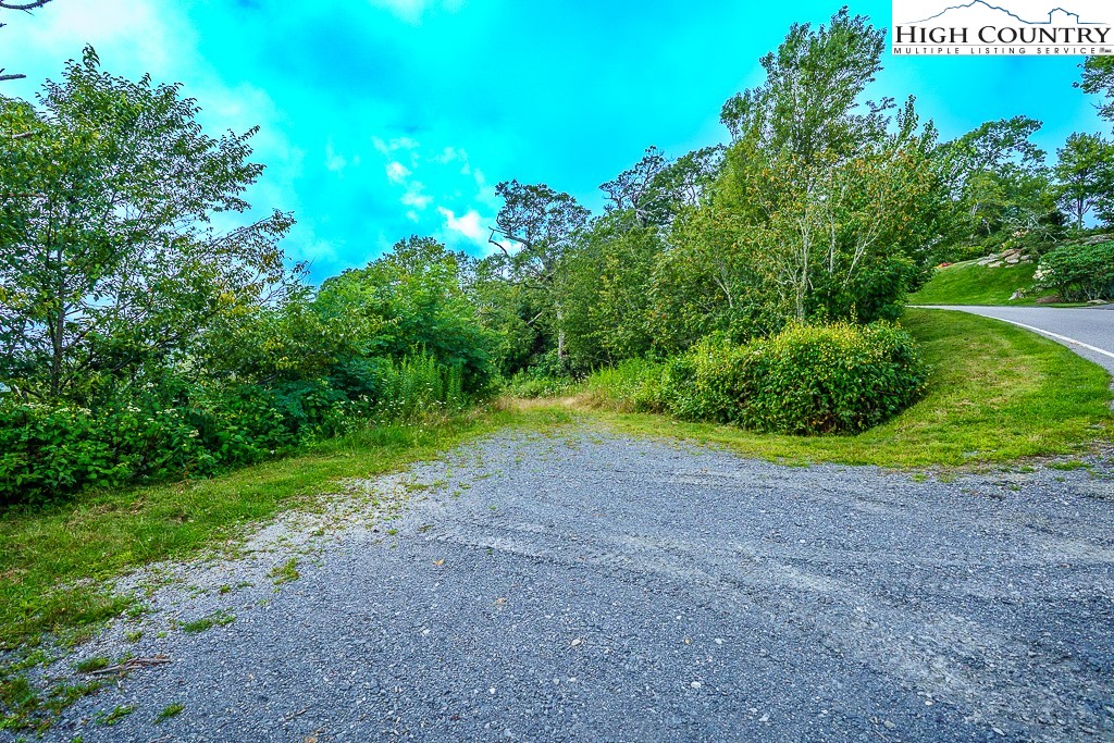 1902 Flattop Clfs Lane Linville, NC 28646 - Photo 5 of 10 a view of a field with plants and a trees