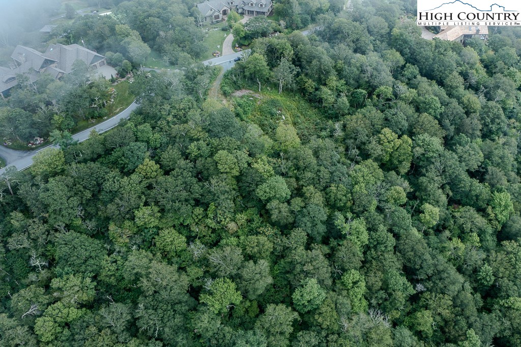 1902 Flattop Clfs Lane Linville, NC 28646 - Photo 6 of 10 an aerial view of a house with a yard