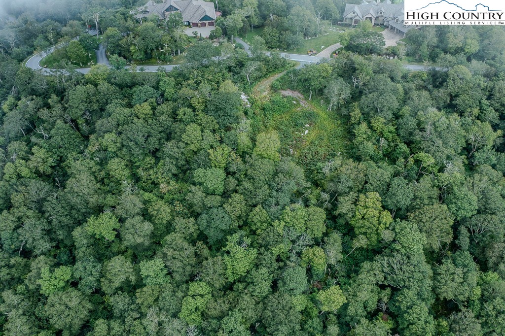 1902 Flattop Clfs Lane Linville, NC 28646 - Photo 7 of 10 an aerial view of residential house with outdoor space and trees all around