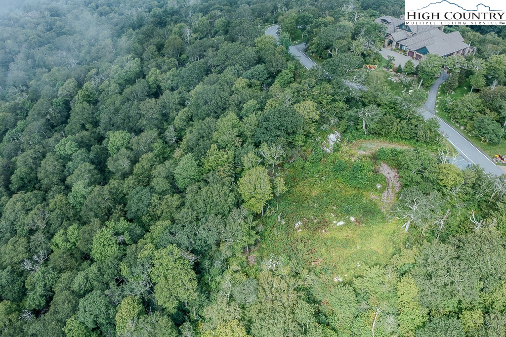 1902 Flattop Clfs Lane Linville, NC 28646 - Photo 8 of 10 an aerial view of residential house with outdoor space and trees all around