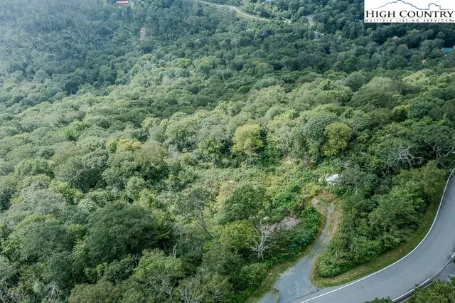 a view of a forest from a window