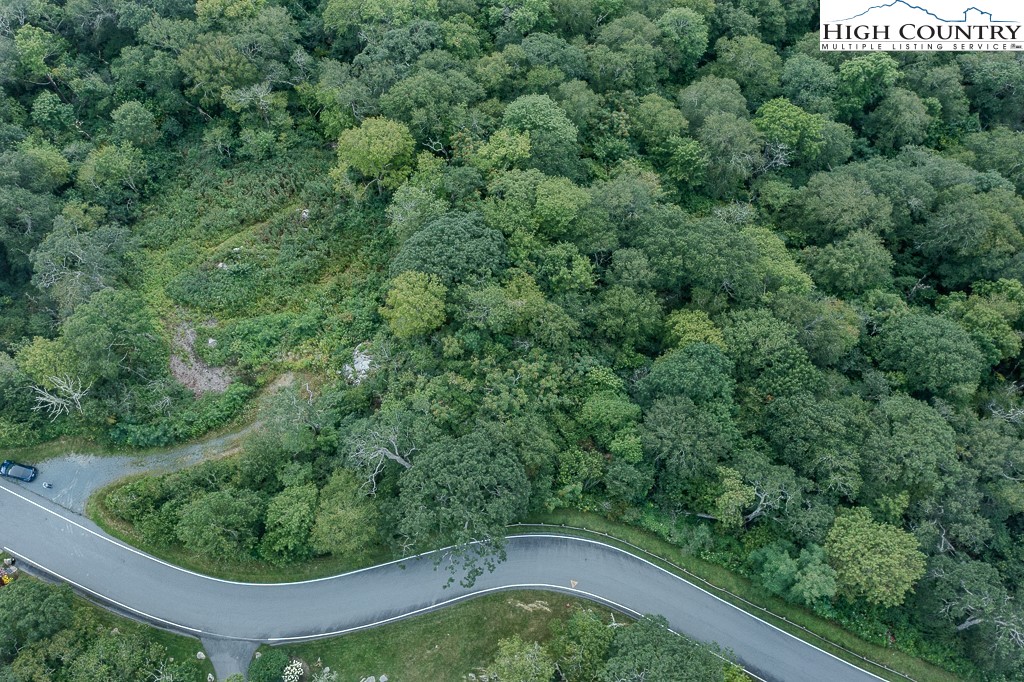 1902 Flattop Clfs Lane Linville, NC 28646 - Photo 10 of 10 a view of a forest from a window