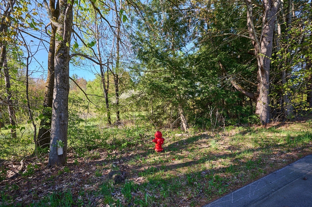 0 Radiker Road Worthington, MA 01098 - Photo 13 of 18 a view of outdoor space