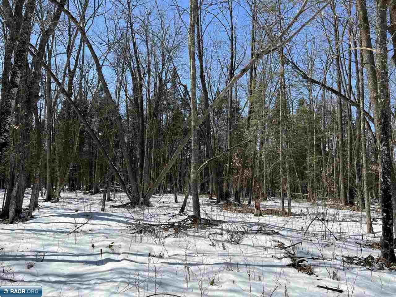 Lot 3 Rippling Oak Ridge River Pengilly, MN 55775 - Photo 6 of 8