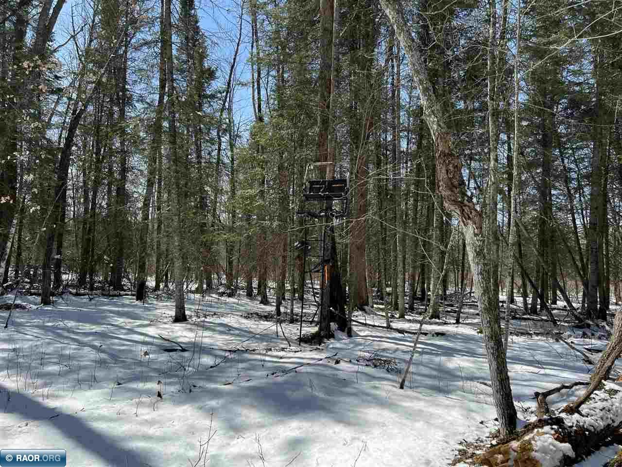 Lot 3 Rippling Oak Ridge River Pengilly, MN 55775 - Photo 7 of 8