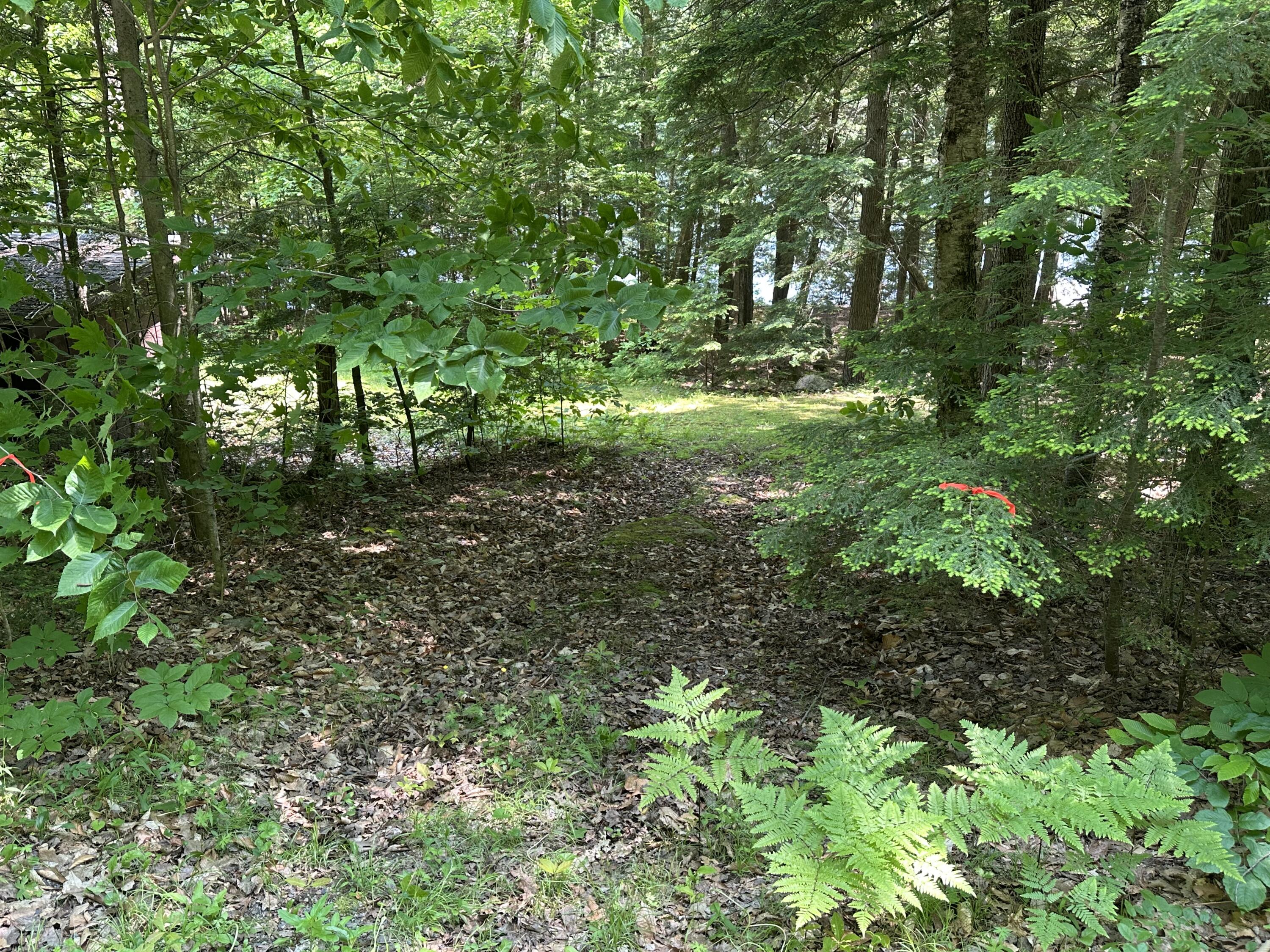 52 Quimby Lane Fayette, ME 04349 - Photo 17 of 17 Access