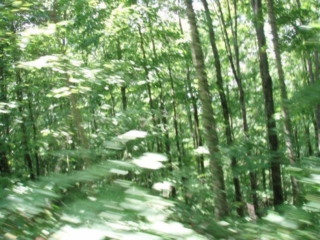 99999 Cain Cemetery Road McKee, KY 40447 - Photo 4 of 9 Photo 4