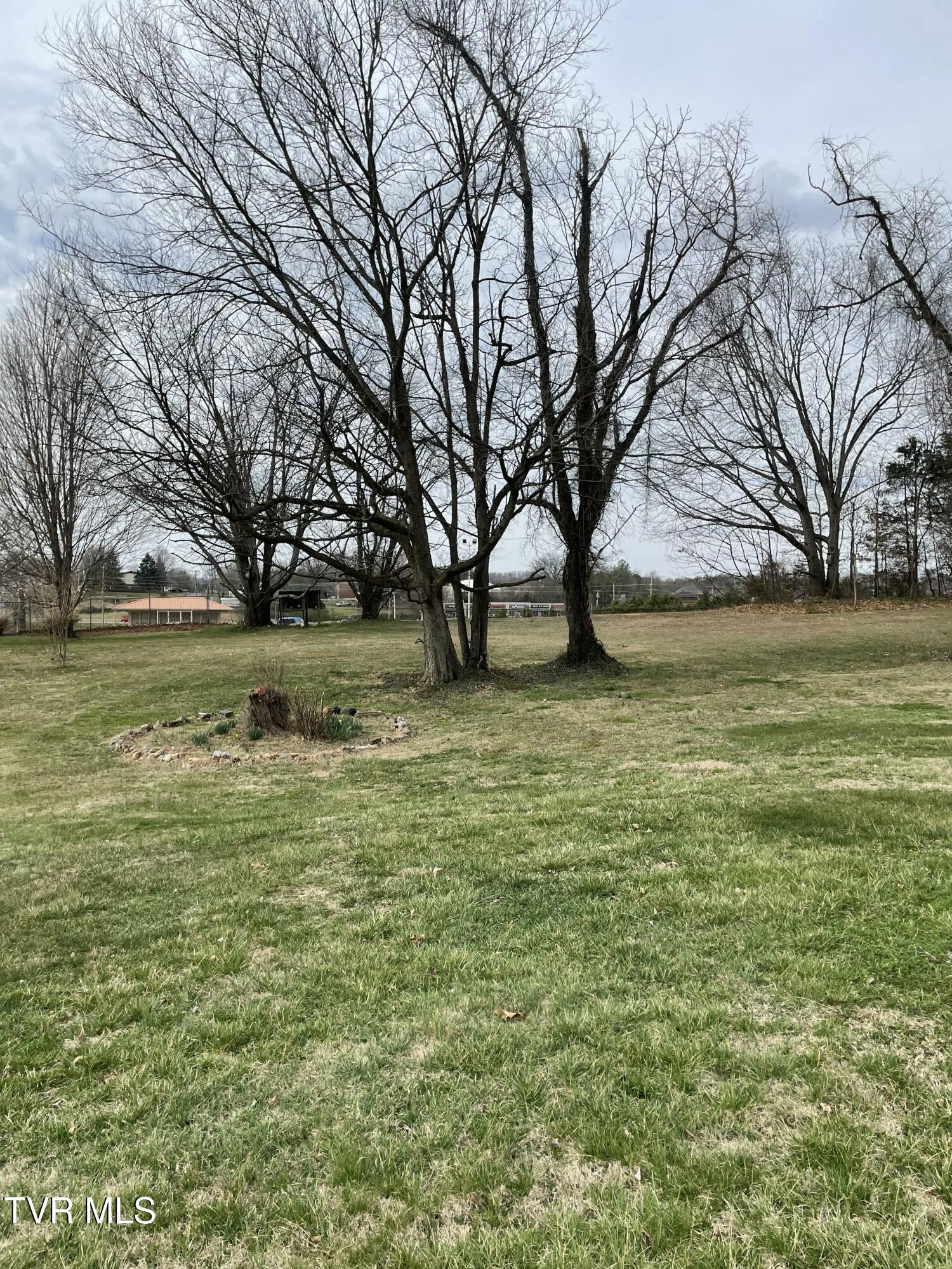 38-ac Ridgemont Drive, Unit 5 Greeneville, TN 37745 - Photo 2 of 10 IMG_20250318_164247 (1)