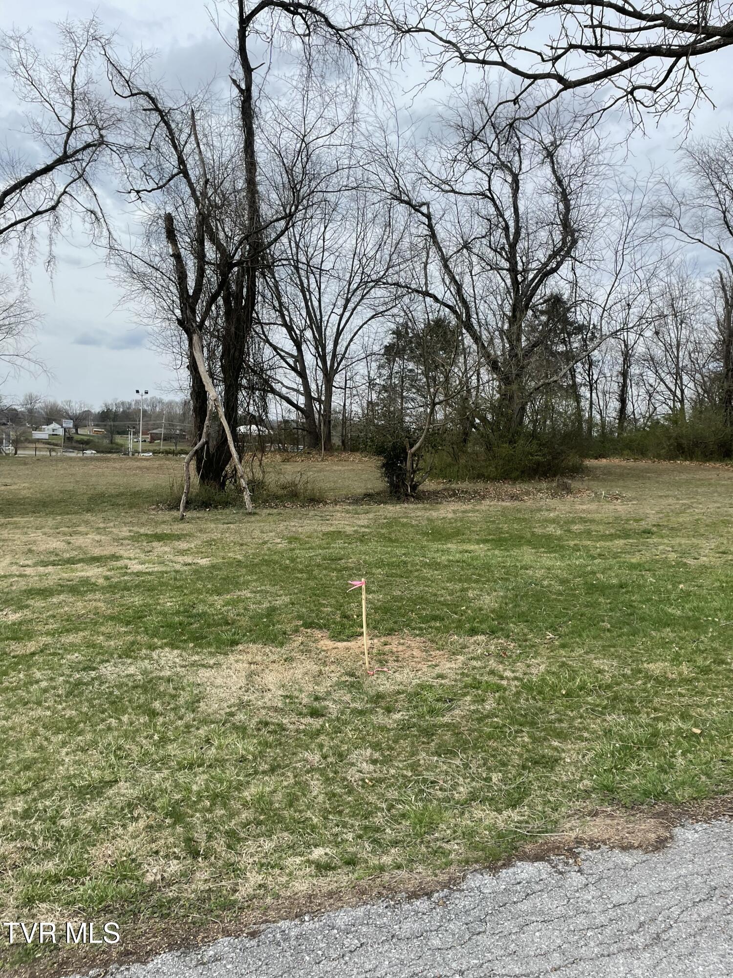 38-ac Ridgemont Drive, Unit 5 Greeneville, TN 37745 - Photo 5 of 10 IMG_20250318_164248