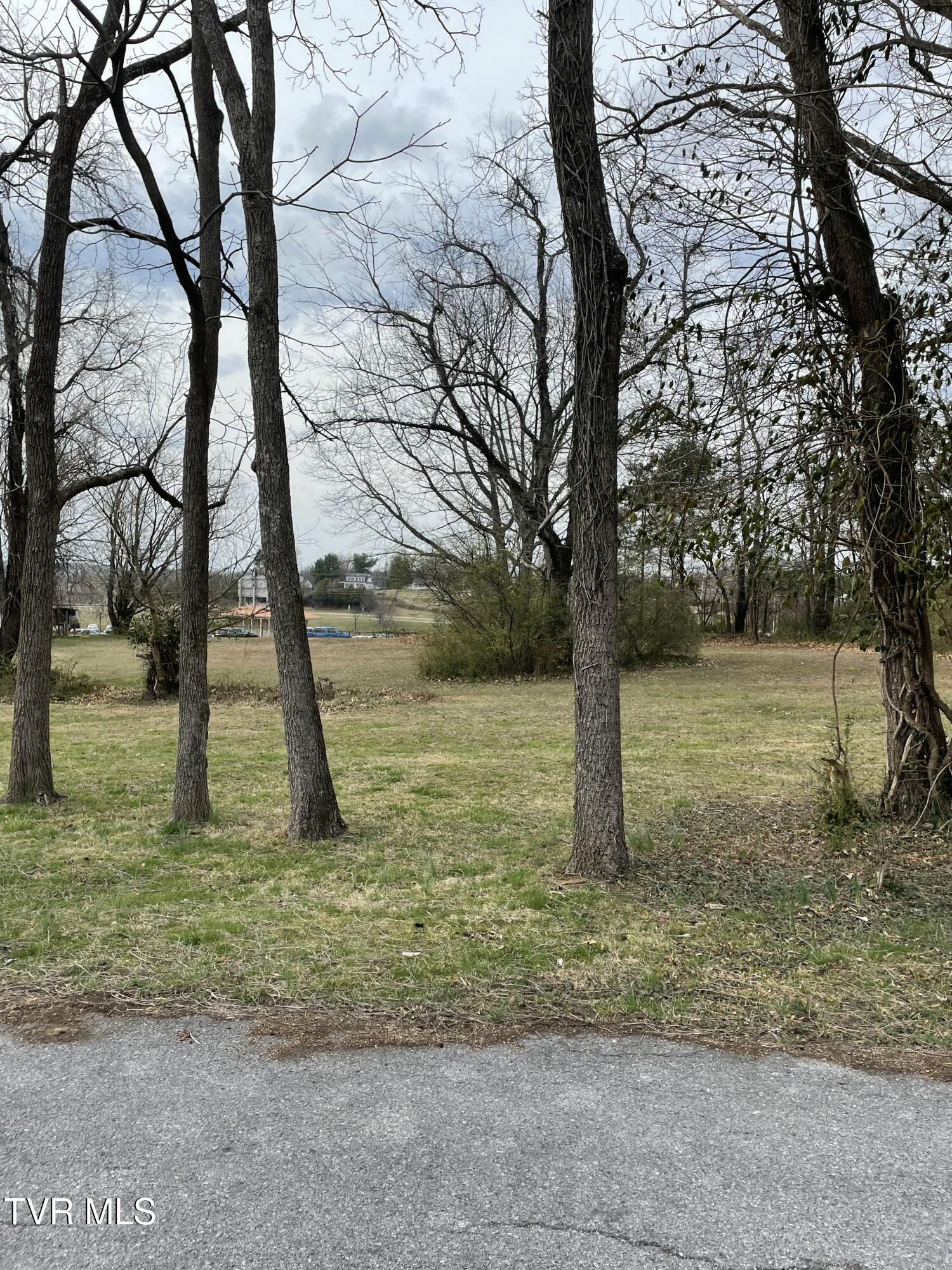 38-ac Ridgemont Drive, Unit 5 Greeneville, TN 37745 - Photo 6 of 10 IMG_20250318_164317 (2)