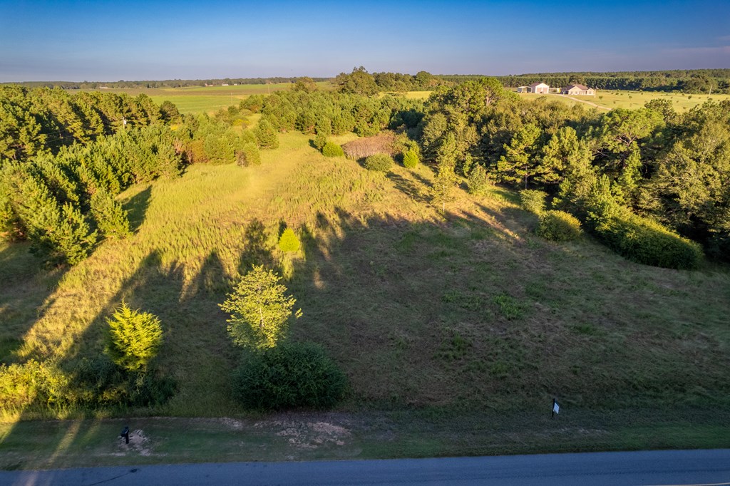2226 Randall Wade Road Headland, AL 36345 - Photo 13 of 60