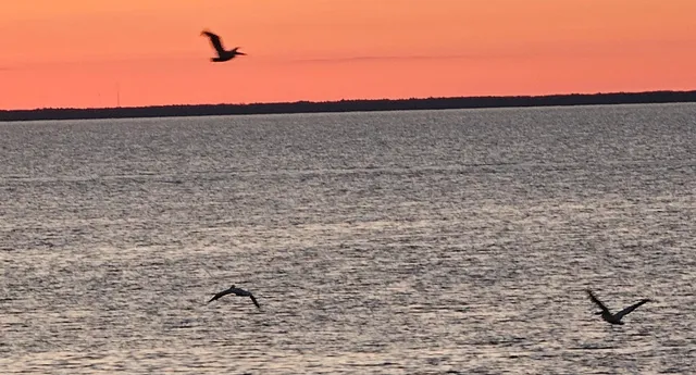 $895,000 | 1150 Bayshore Road, Brussels, WI 54204