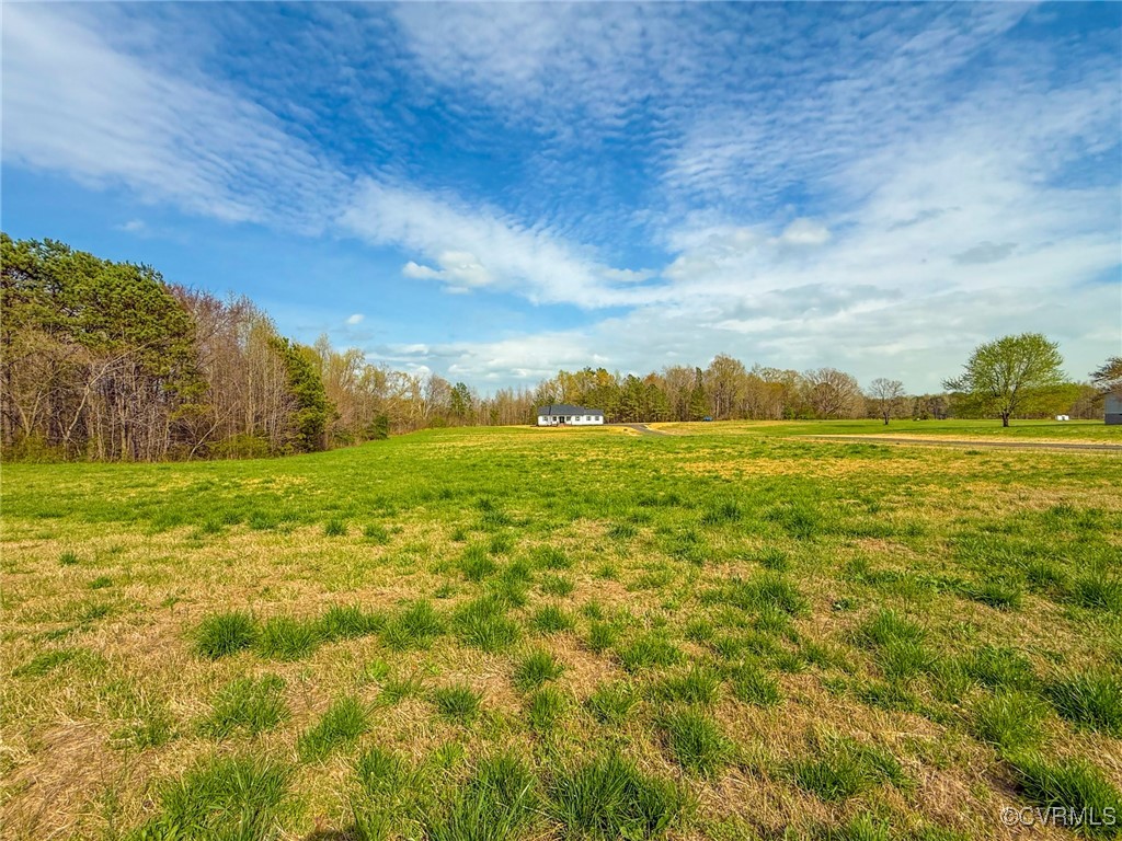 745 Robertsons Road Blackstone, VA 23824 - Photo 39 of 42 View of yard featuring a rural view