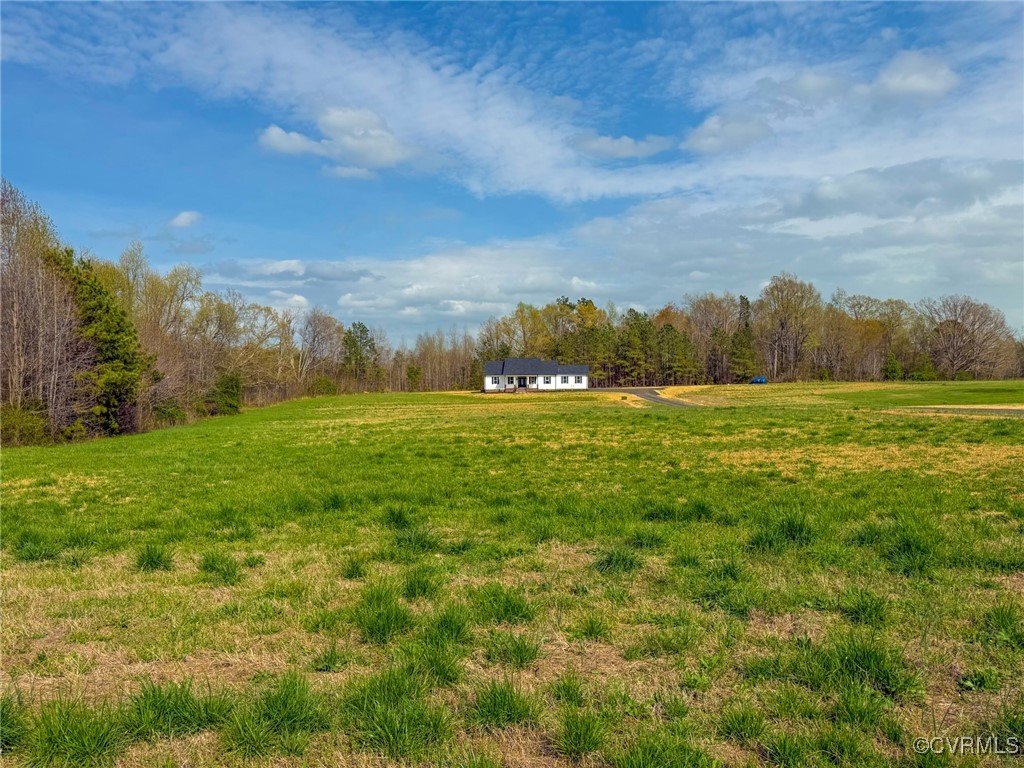 745 Robertsons Road Blackstone, VA 23824 - Photo 40 of 42 View of yard with a rural view and a forest view