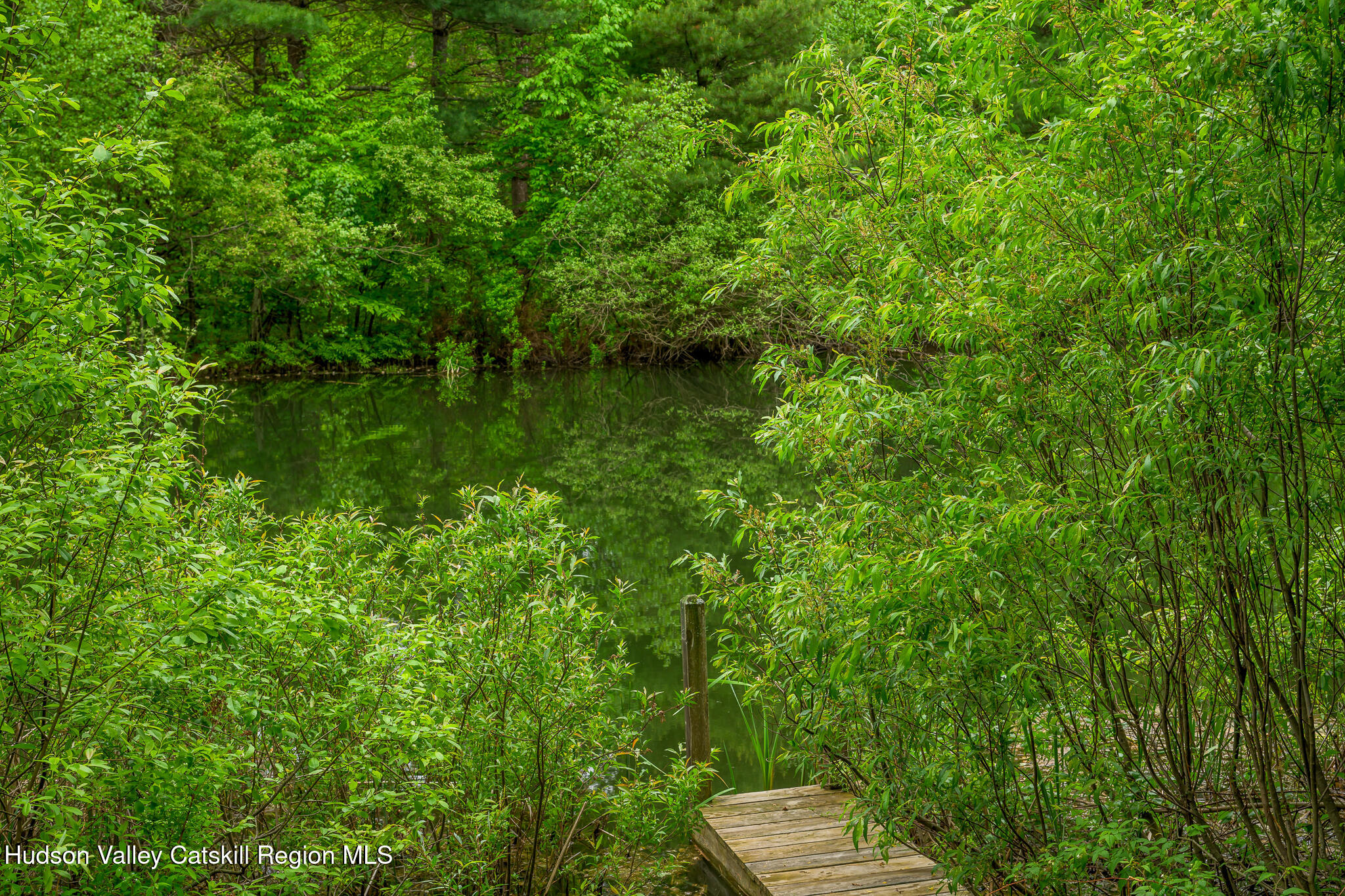 75 Upper Hollow Road Austerlitz, NY 12529 - Photo 13 of 30 Pond