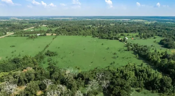 an aerial view of green landscape with trees houses and mountain view