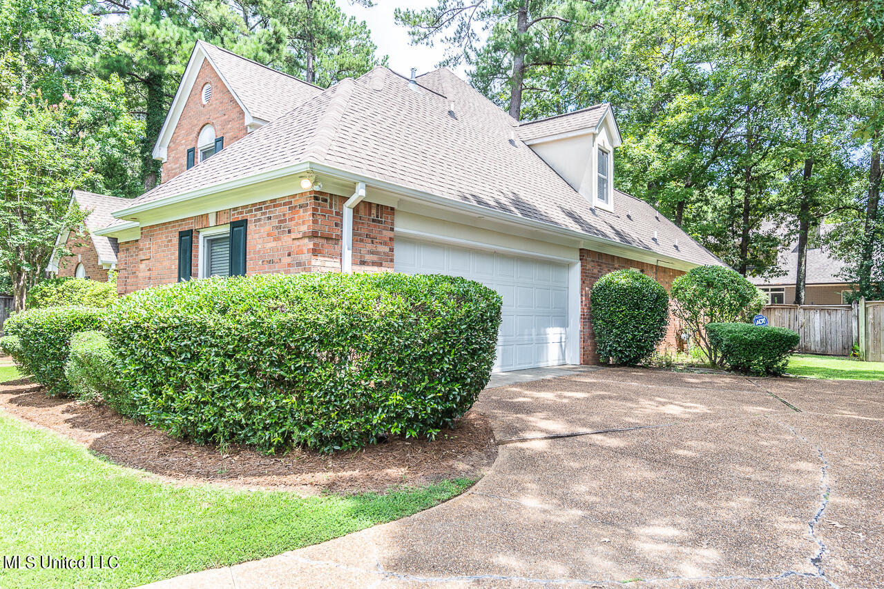 604 Winteridge Court Ridgeland, MS 39157 - Photo 5 of 41 _DSC6696