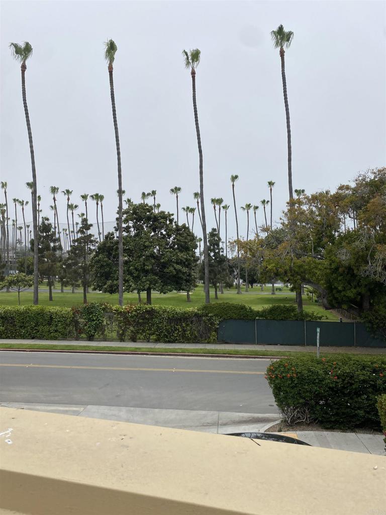 2159-65 Avenida De La Playa La Jolla, CA 92037 - Photo 31 of 42 a view of a garden with a palm tree